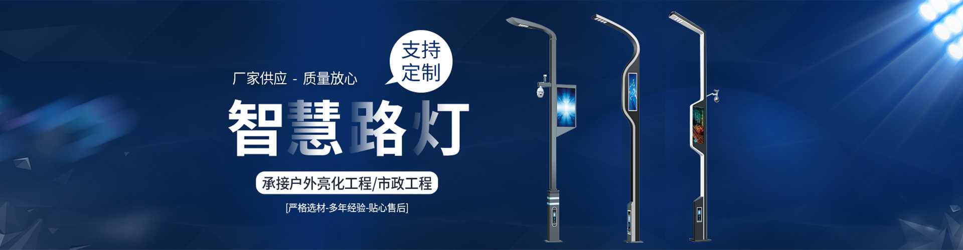 蜀山区太阳能路灯定制厂家