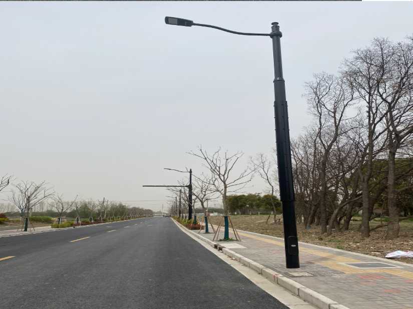 蜀山区上海综合杆 太阳能路灯工程